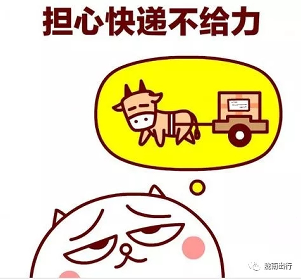 隴運集團武都汽車站、成縣汽車站、康縣汽車站快運