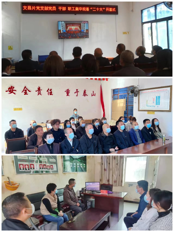 隴運集團(tuán)廣大員工認(rèn)真收看黨的二十大開幕盛況